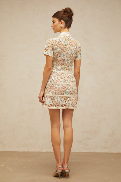 Françoise flower-embroidery mini dress