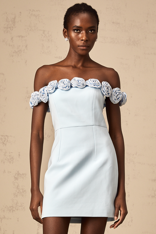 Hedwige blue flower-appliqué mini dress