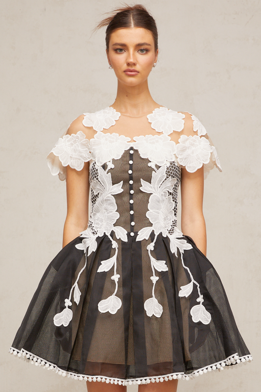 Sandrine color-blocked floral-embroidery mini dress