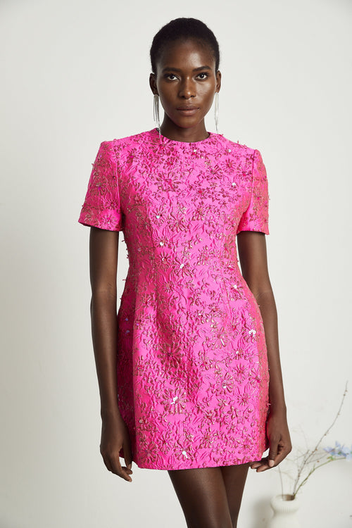 Celestia Floral-Appliqué Embellished Mini Dress