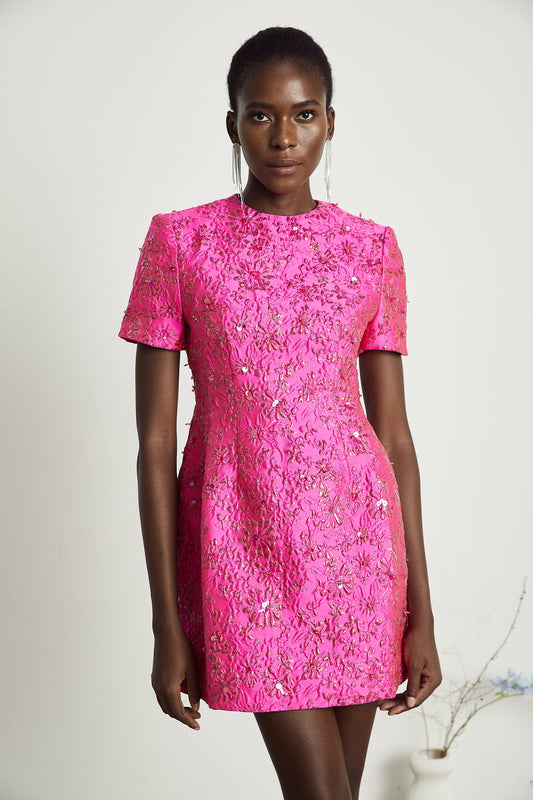 Celestia Floral-Appliqué Embellished Mini Dress