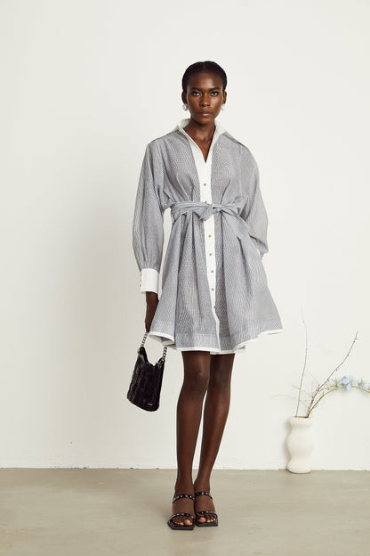 Valentine pinstripe point-collar mini dress