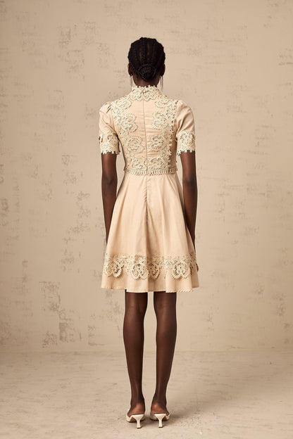 Axelle corded-lace flared mini dress