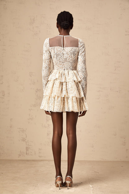Hippolyte neutrals floral-embroidery mini dress