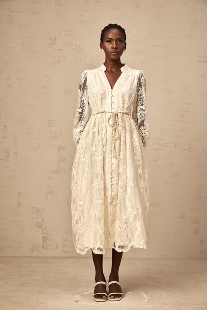 Roxane neutrals lace-embroidery midi dress