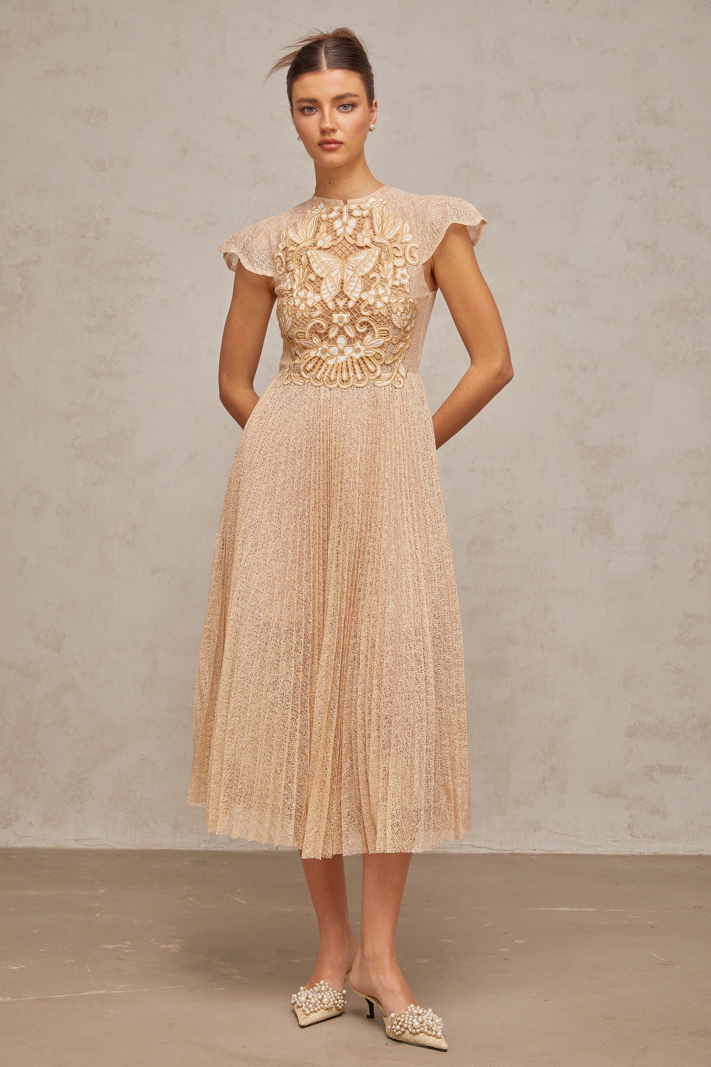 Nerissa embroidered pleated midi dress