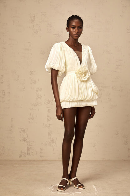 Nadège neutrals pleated floral-appliqué mini dress
