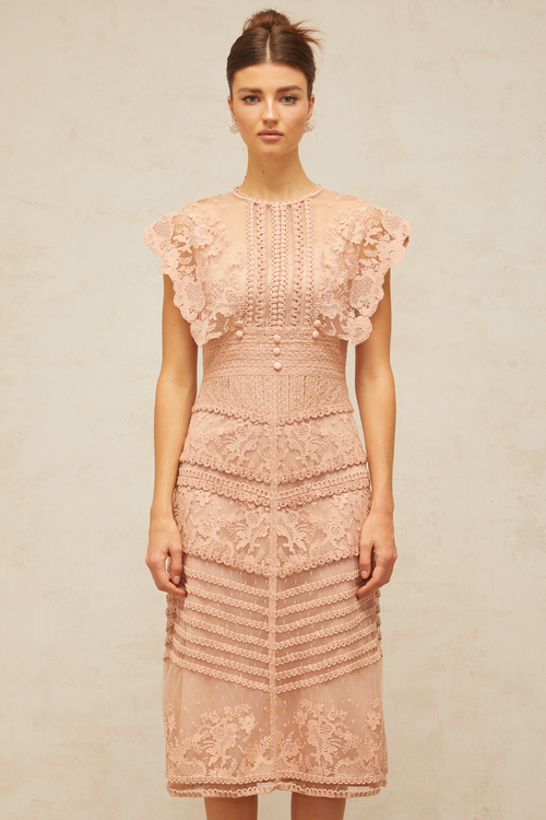 Fleur floral-embroidered lace midi dress in Pink