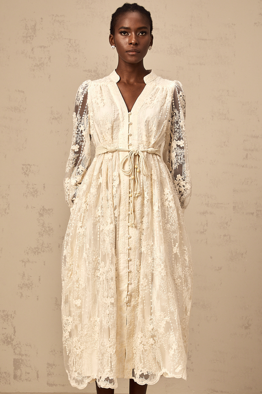 Roxane neutrals lace-embroidery midi dress