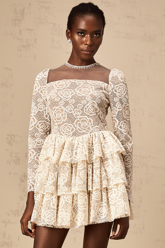Hippolyte neutrals floral-embroidery mini dress