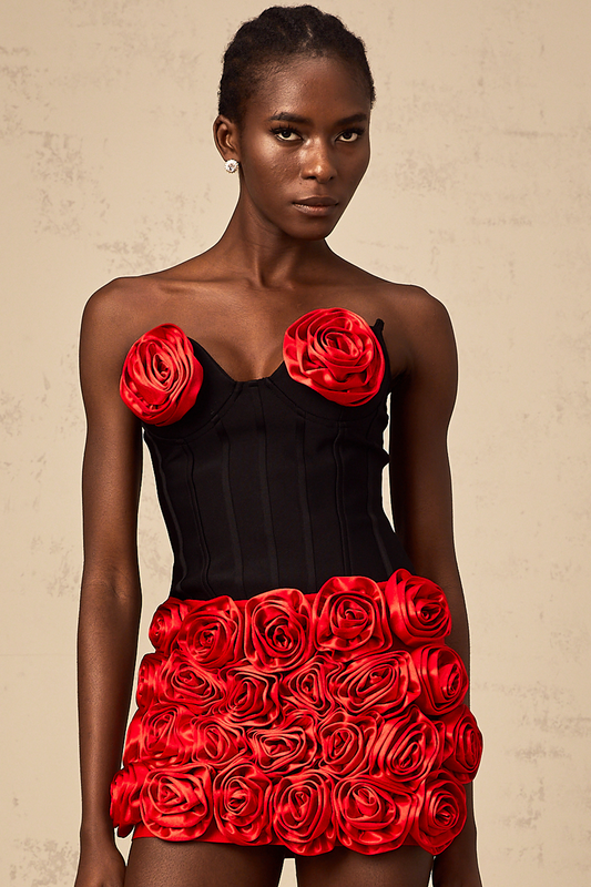Héloïse red rose-appliqué top & skirt matching set