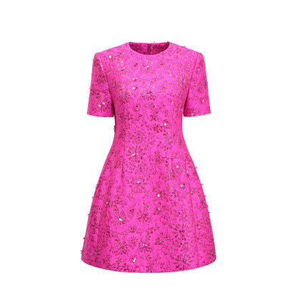 Celestia Floral-Appliqué Embellished Mini Dress