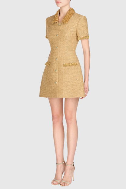 Elborno Gold Embellished Mini Dress