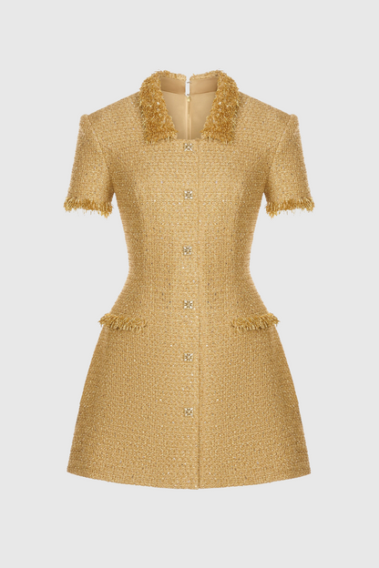 Elborno Gold Embellished Mini Dress