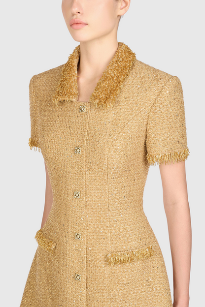 Elborno Gold Embellished Mini Dress
