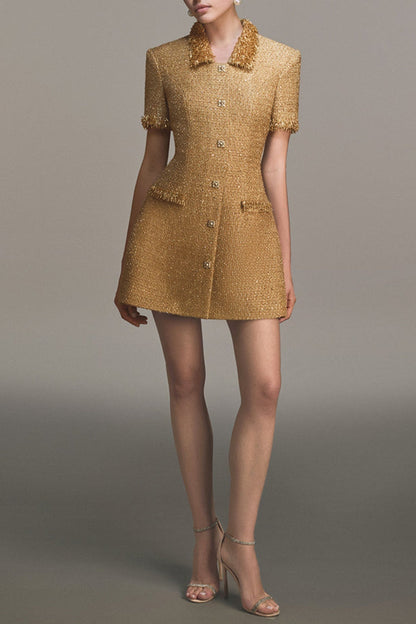 Elborno Gold Embellished Mini Dress