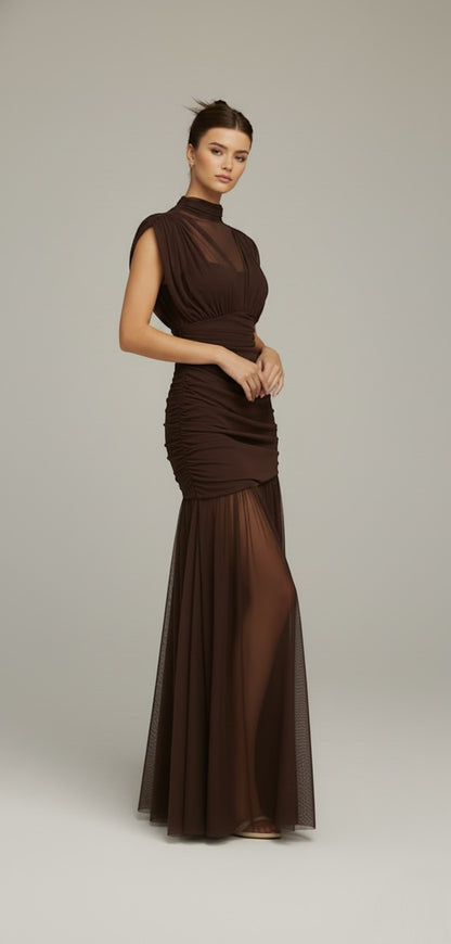 Sheer Turtleneck Mesh Maxi Gown