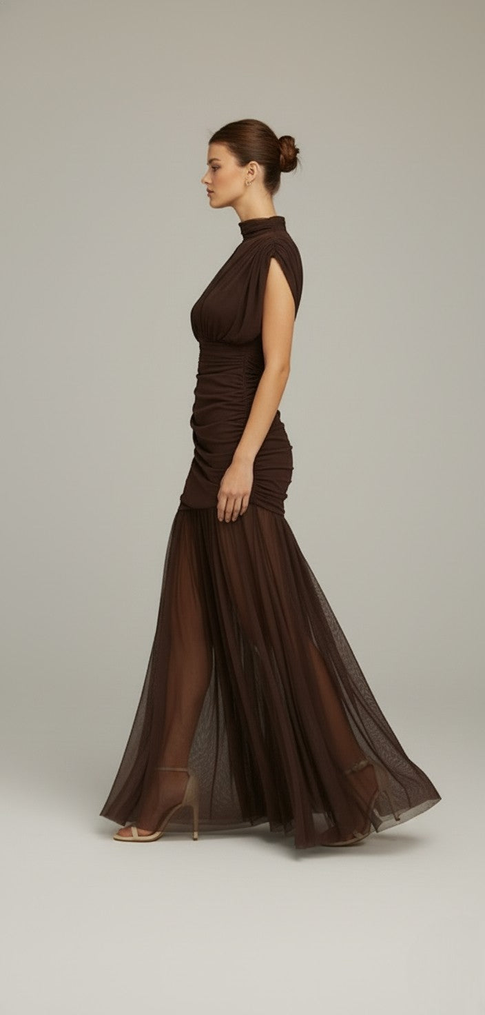 Sheer Turtleneck Mesh Maxi Gown