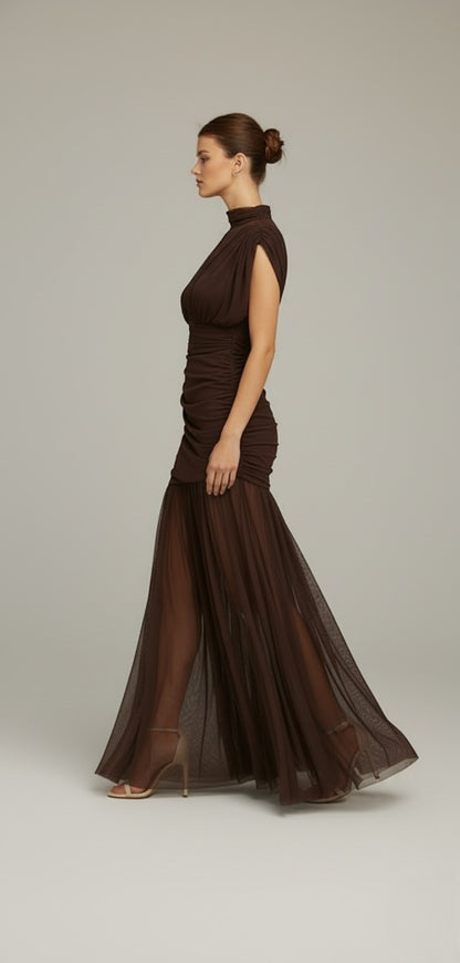 Sheer Turtleneck Mesh Maxi Gown