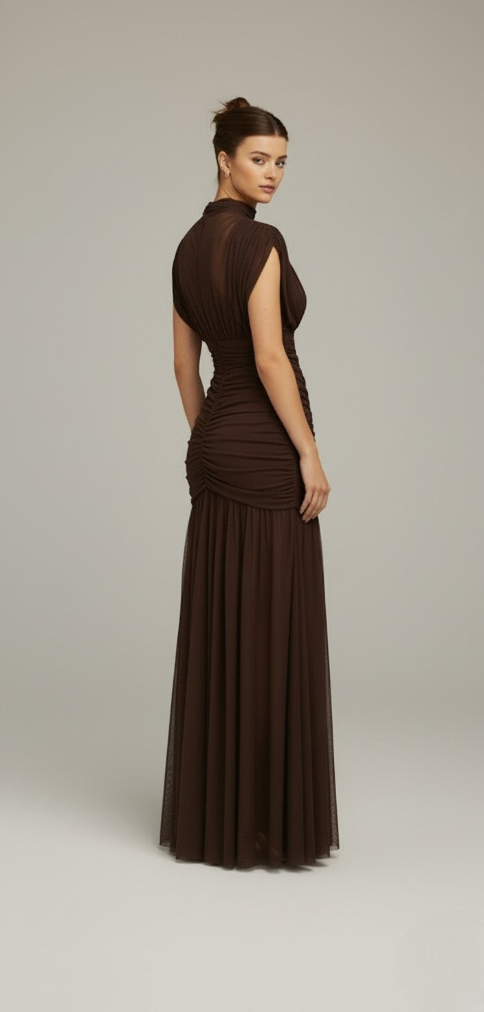 Sheer Turtleneck Mesh Maxi Gown