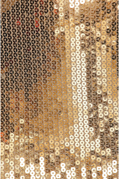 Joye Gold Sequin Blazer Two Piece Set