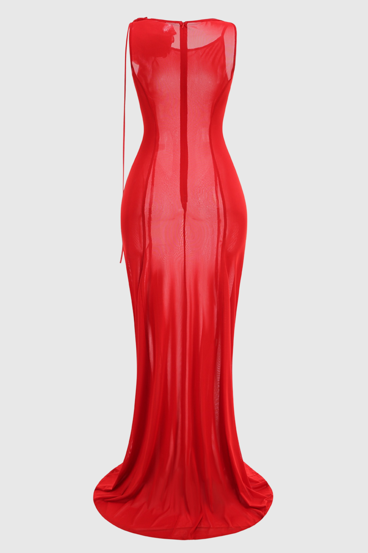 Shaelie Flower Mesh Maxi Dress