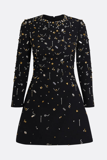 Pamaria Diamante Embroidery Mini Dress