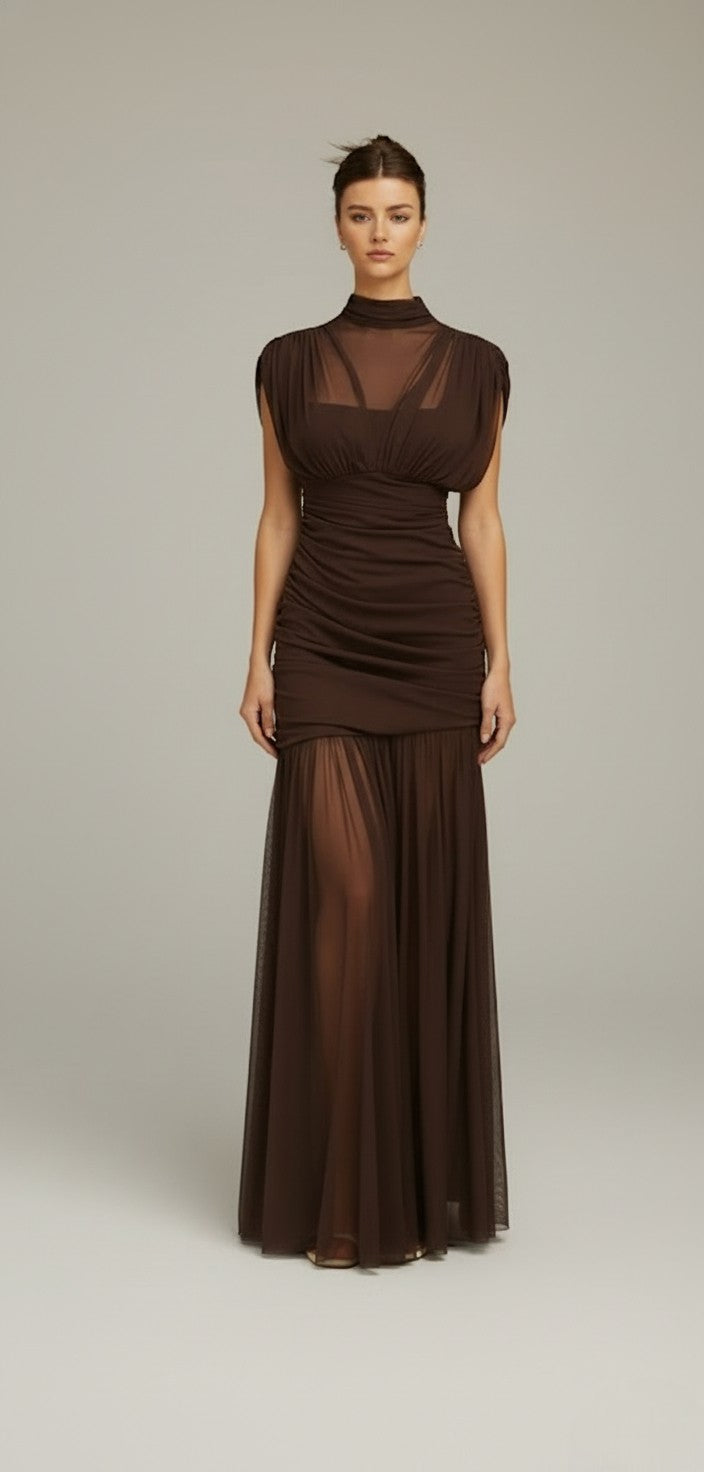 Sheer Turtleneck Mesh Maxi Gown